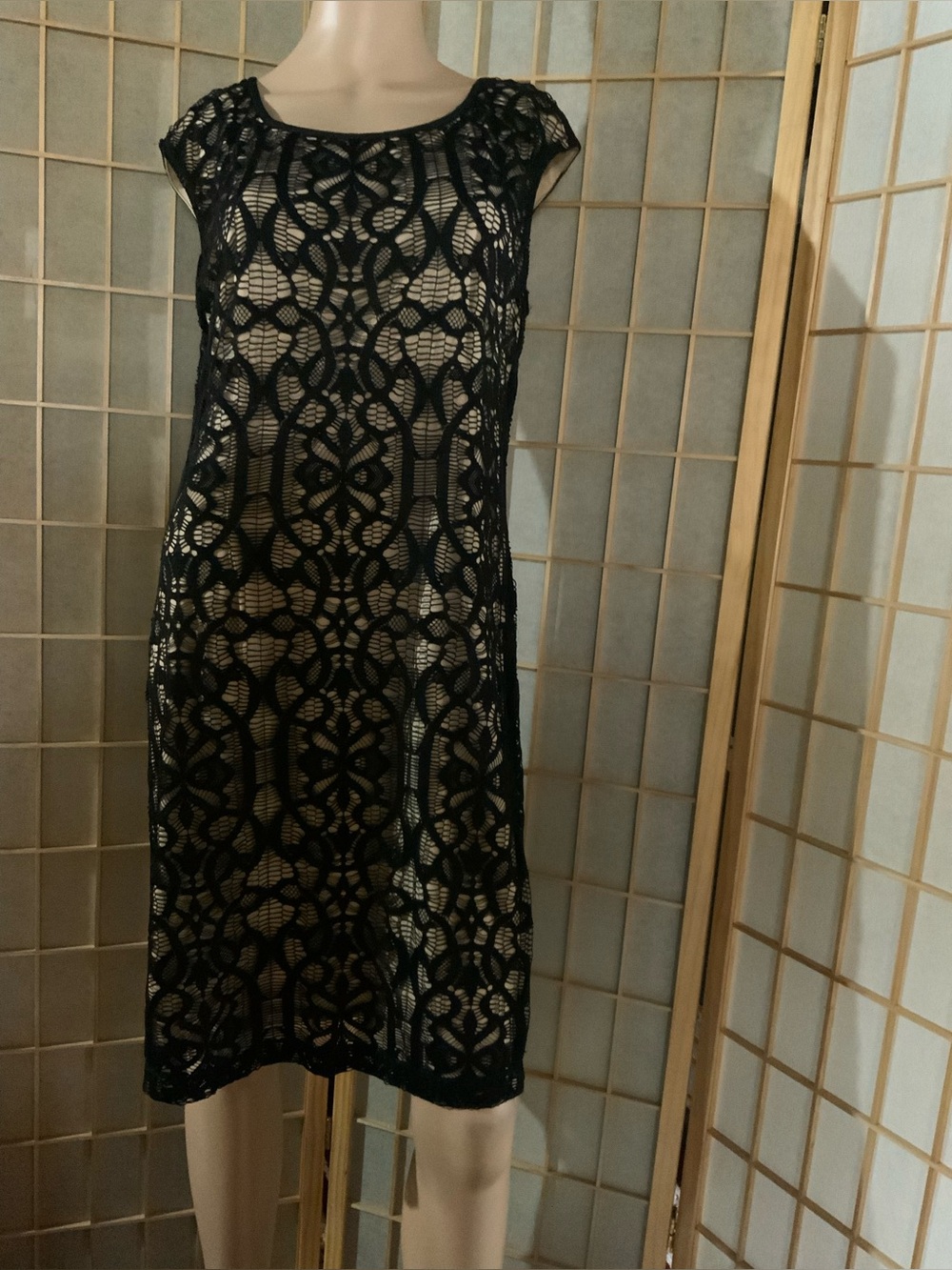 connected apparel Black Lace Overlay Midi Dress
